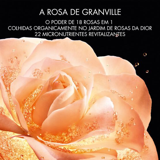 S&eacute;rum para Olhos Dior Le Micro Serum De Rose Yeux